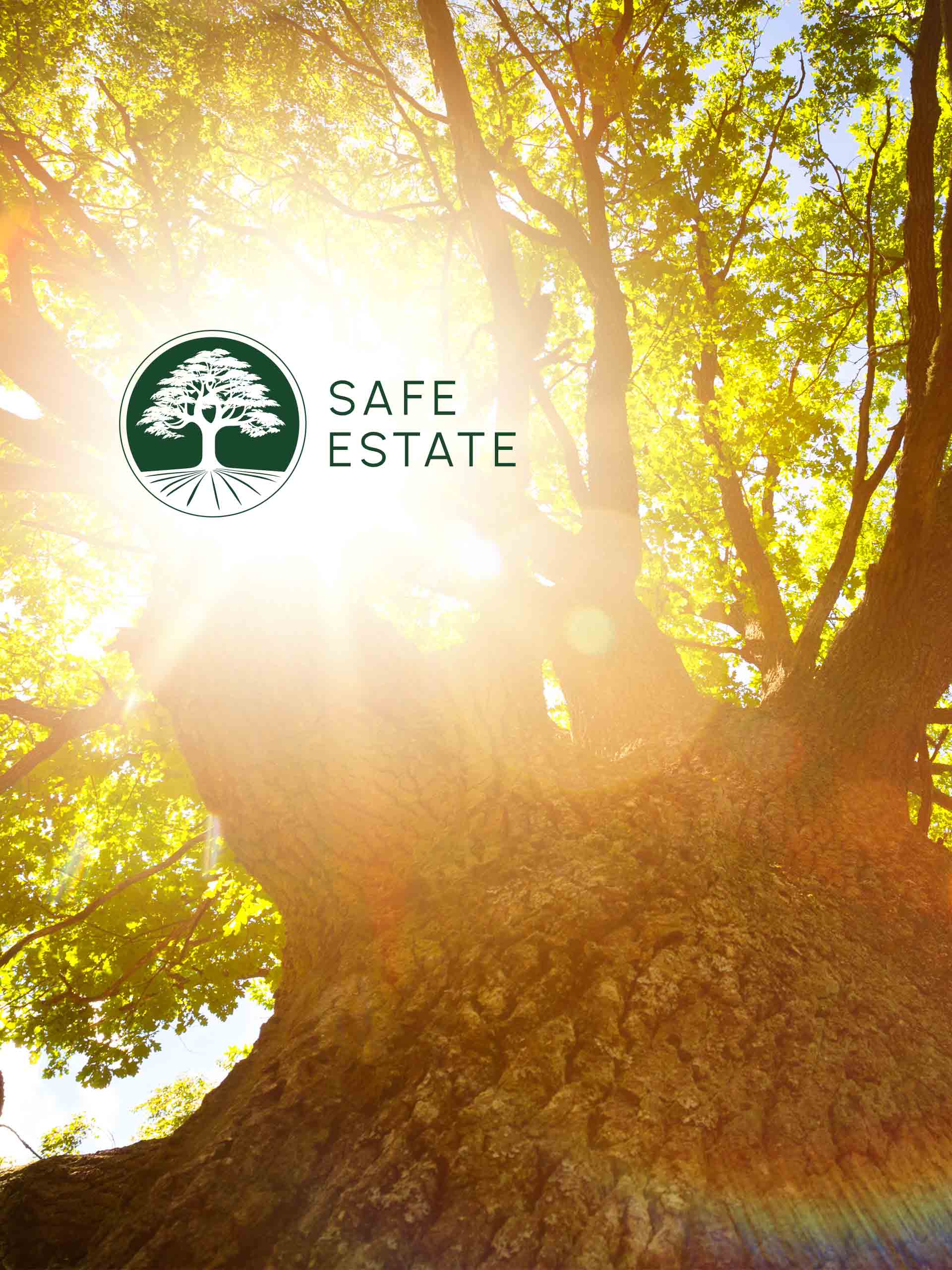 Safe Estate, LLC