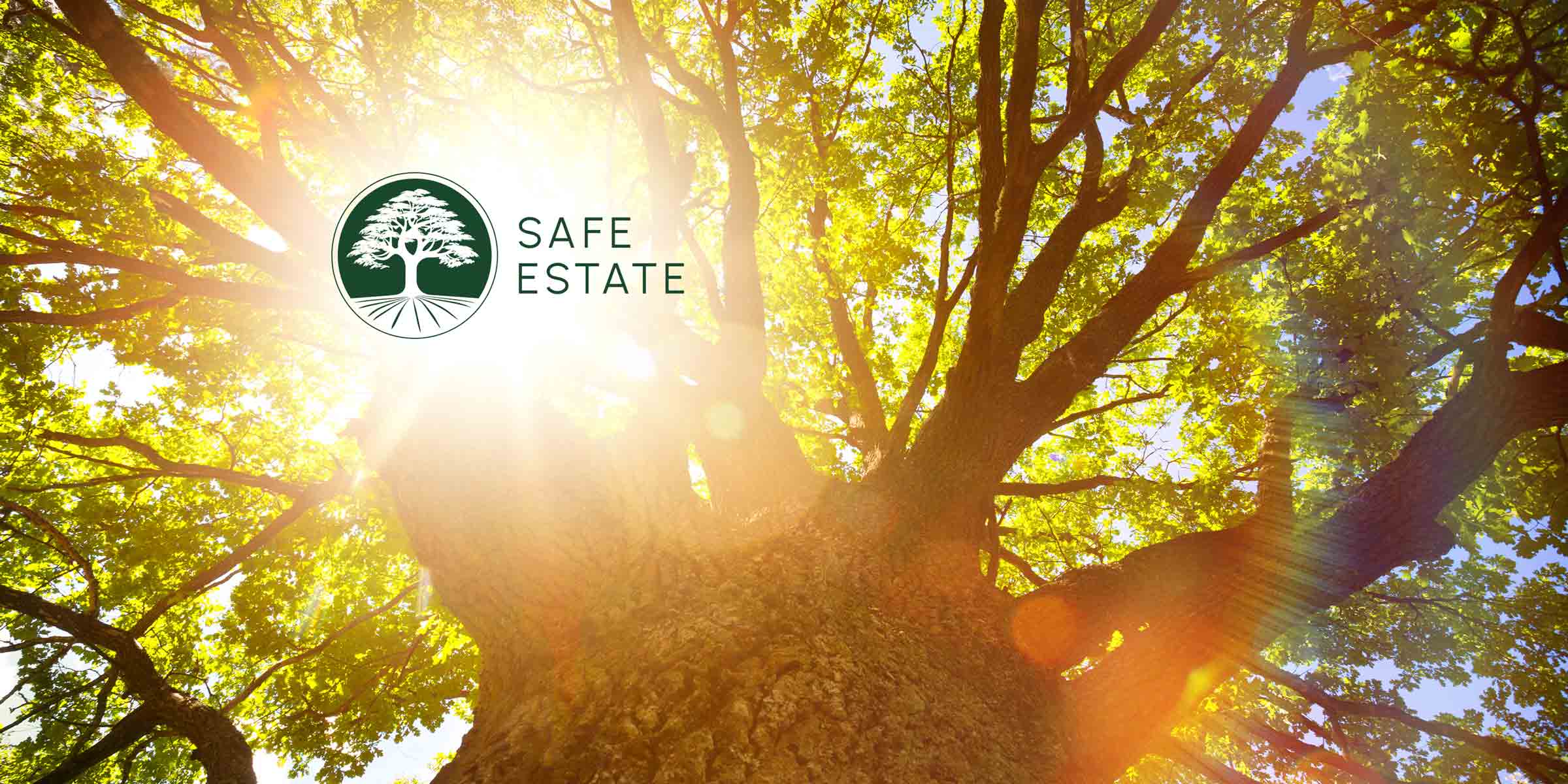Brand Identity Design Portfolio: Safe Estate, LLC