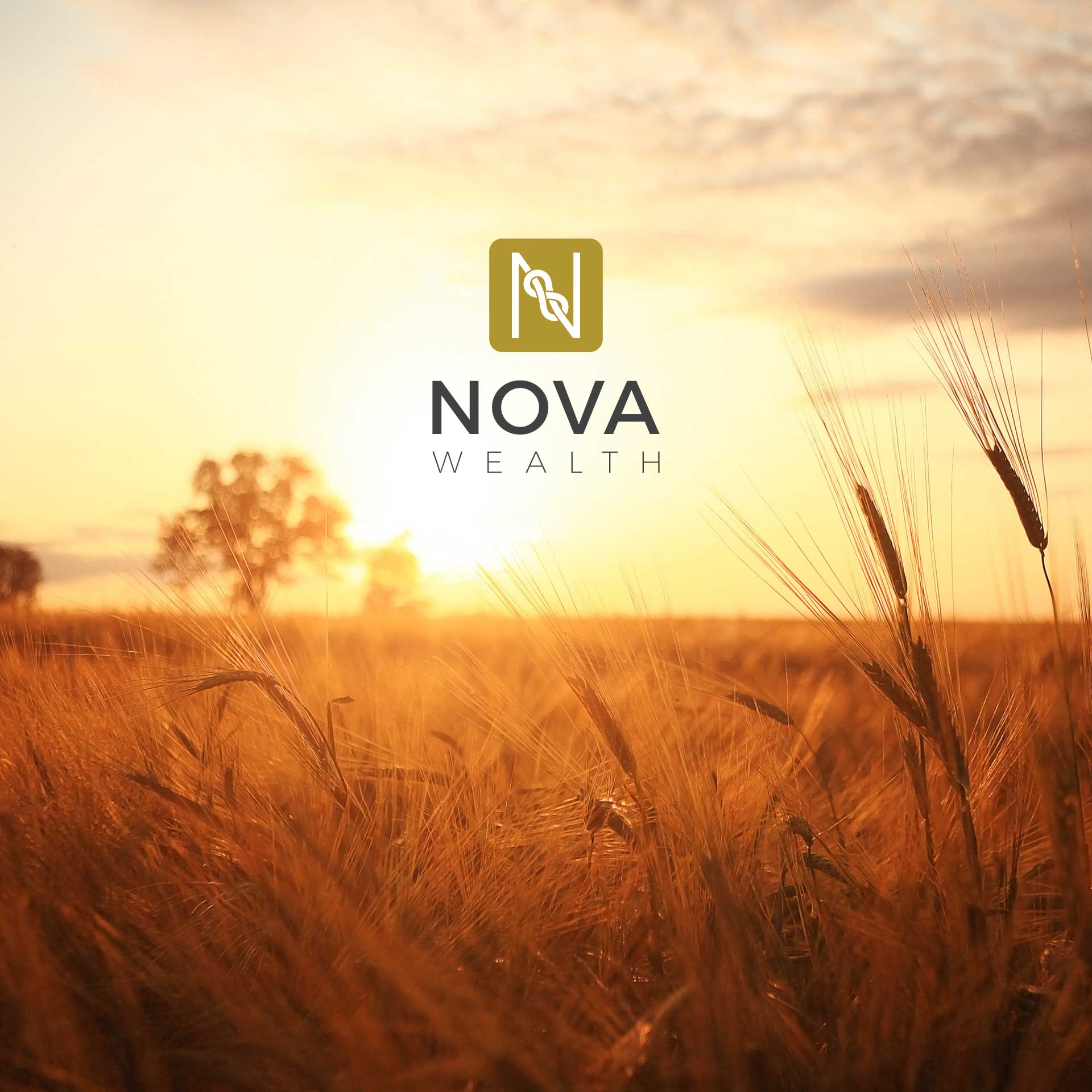 Nova Wealth – Final Thoughts