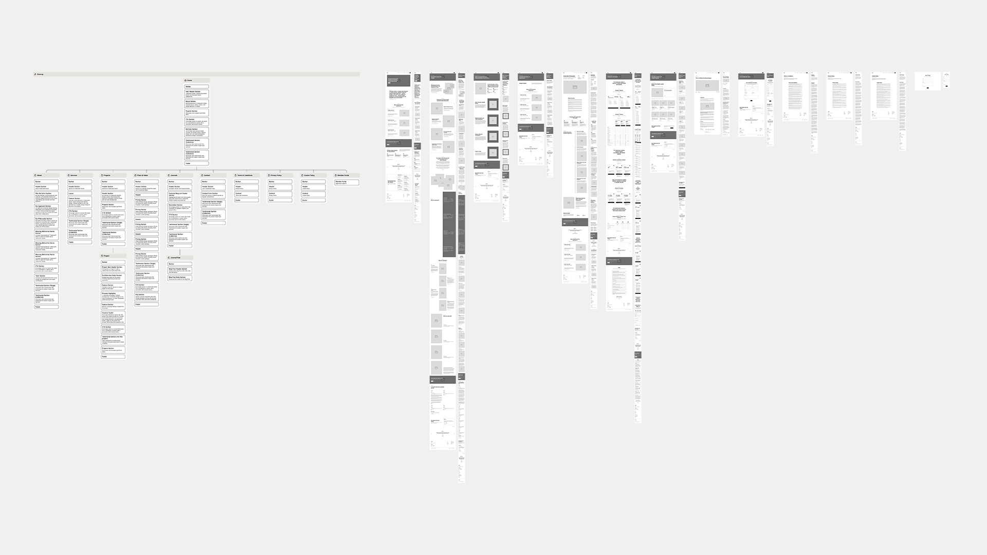 Website Information Architecture of the Coelacanth Studio Project